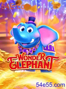 WonderElephant